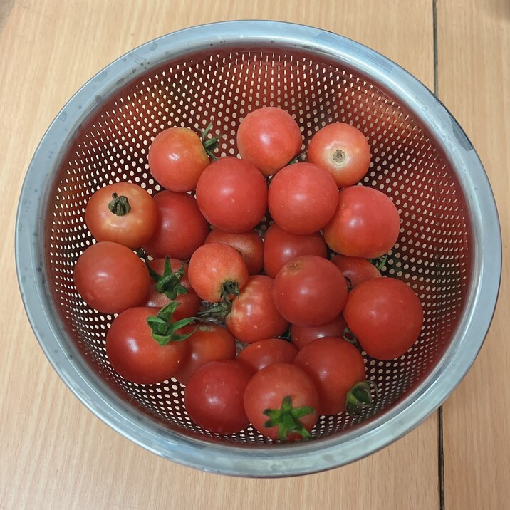 プチトマト/ミニトマトの保存方法